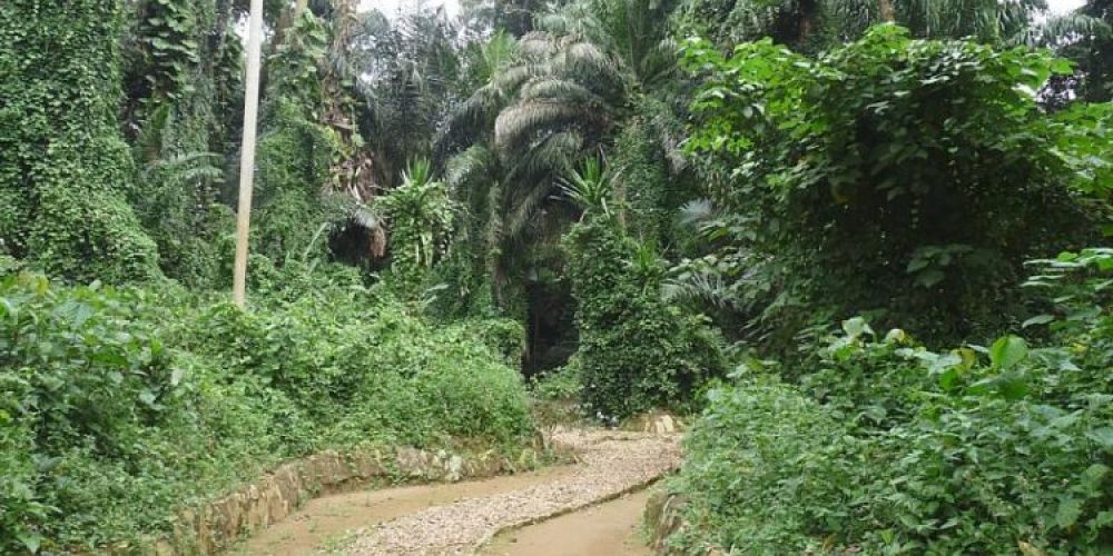 Entebbe-Botanical-750x450