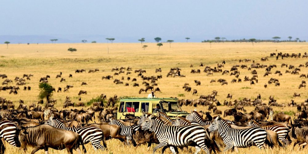 Kidepo Valley National Park