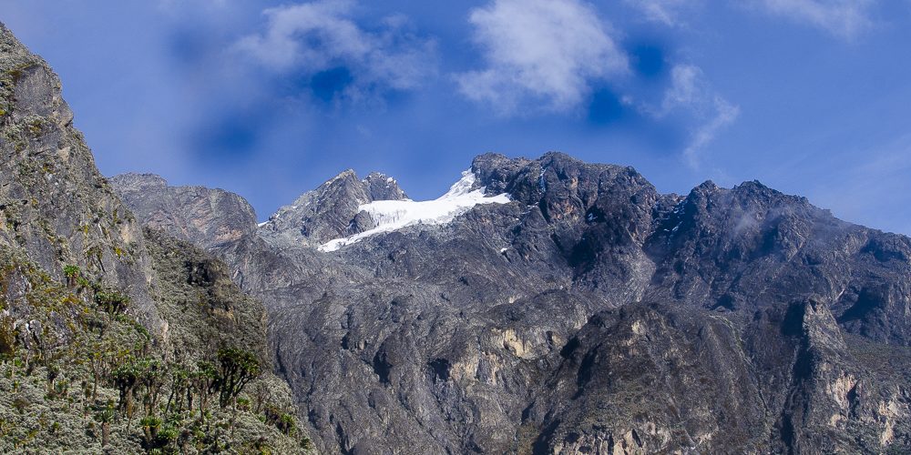 rwenzori